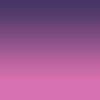 Violet + Pink